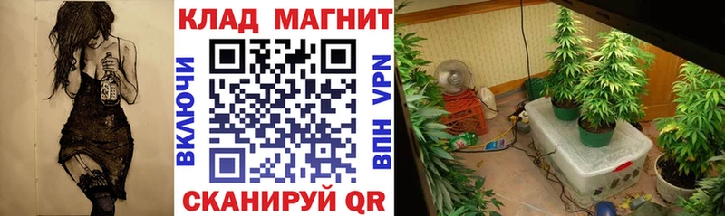 Что такое Западная Двина ГАШИШ  LSD-25  Меф мяу мяу  Канабис  Альфа ПВП 