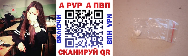 Альфа ПВП СК КРИС  Западная Двина 
