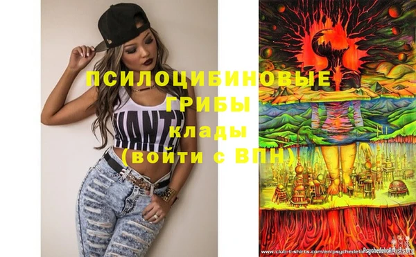 метадон Елизово