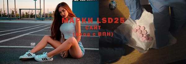 спайс Ельня
