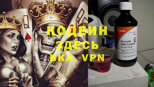 метадон Елизово