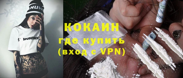 спайс Ельня