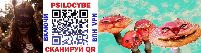 omg tor  Западная Двина  Псилоцибиновые грибы прущие грибы 